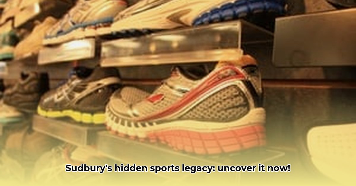brine-sports-sudbury